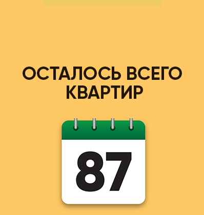 Осталось всего 87 квартир на Пушкина